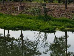 -东郊湿地公园