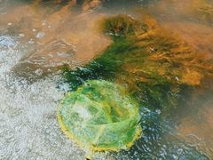 -华蓥山天意谷景区