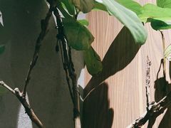 -ibarrel爱杯·bistro&brunch(江宁路店)