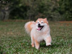 -二沙岛艺术公园