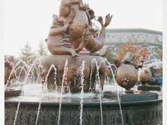 -上海海昌海洋公园
