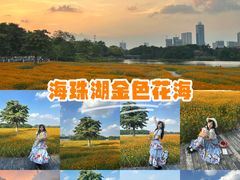 -海珠湖公园