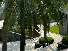 -日落吧·海景咖啡厅·餐酒吧·鸡尾酒·下午茶·乐队表演·浪漫夕阳·三亚文华东方酒店