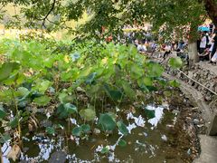 -韶山毛泽东同志故居