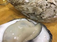 -蚝专家(北滘店)