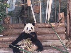 -泉州海丝野生动物世界