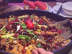 -老板恋上鱼(恒隆广场店)