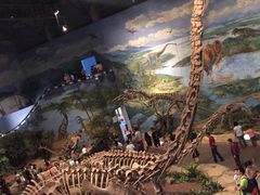 -自贡恐龙博物馆