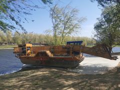 -羊亭河湿地公园