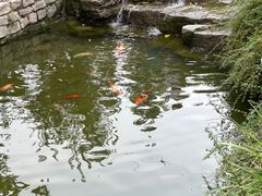 -三里河公园