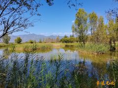 -野鸭湖国家湿地公园