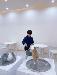 -Moni星球萌宠·小马宝莉·灵蛇·高端高阶全萌宠互动体验俱乐部(红豆国际广场店)