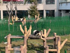 -沈阳森林动物园