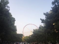 -哈尔滨文化公园