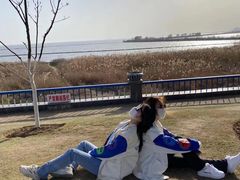 -合肥滨湖国家森林公园