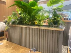 -霸王茶姬(大连万象汇店)