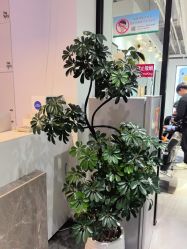 -LJOY丽锦造型·烫发染发