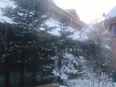 -汉拿山温泉度假酒店