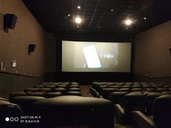 -上海金逸影城(静安大悦城店（原新恒星影城）)