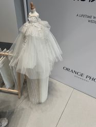 -桔子摄影