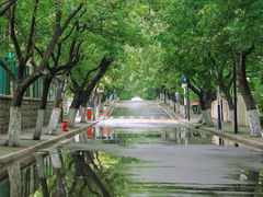 -八大关景区