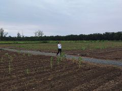 -汉长安城未央宫国家考古遗址公园