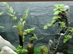 -若水云栖·足疗·按摩·SPA(城阳万达广场店)