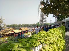 -白洋淀景区