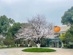 -阳澄湖费尔蒙酒店