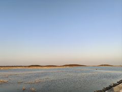 -南大港湿地风景区