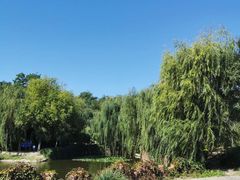 -塘沽森林公园