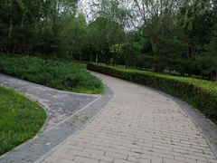 -北坞公园