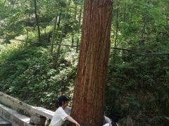 -东天目山风景区