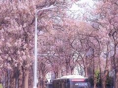 -亦庄创意生活广场