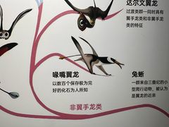 -辽宁古生物博物馆