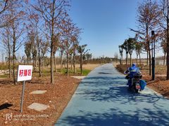 -春花秋色城市公园