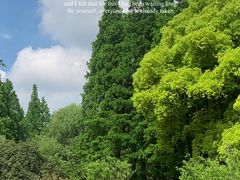 -上海共青森林公园