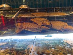 -雍容荟帝王蟹活龙虾展台自助(IFS黑金店)