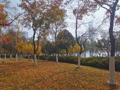 -天鹅湖体育公园
