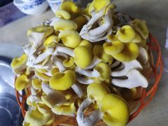 -仙蘑洞