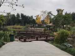 -成飞公园