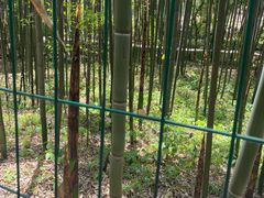 -四门塔风景区