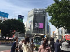 -涩谷区