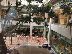 -麒麟中餐厅·经典粤菜·地道菜式老字号(广州长隆酒店)