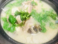 兔爸鱼头汤-兔爸私家小厨(新北万达店)