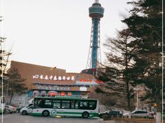 -长春中泰海洋世界