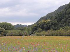 -贵阳市花溪国家城市湿地公园