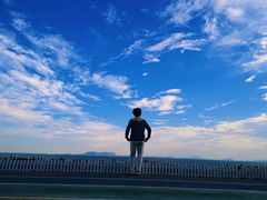 -贡湖湾湿地公园