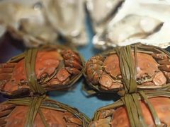 -杨氏青龙虾·吃蟹季(珠江路店)