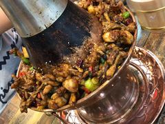 -蛙麻蛙辣炭火蛙锅(南环大街店)